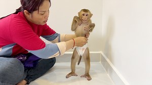 4.3K views · 189 reactions | Lil Katy Raise Her Hand Up Smiling Face Give Mom Chang Diaper | Monkey Daily | Facebook