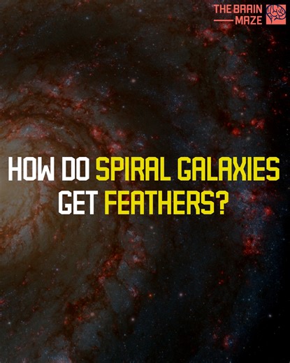 Galaxies like the Milky Way hold more than just spirals - they have feathers, mysterious filaments where new stars are born. But how do these intricate structures form? For years, scientists debated complex explanations—supernova explosions, magnetic fields, or unknown cosmic forces. But now, new research suggests the answer might be shockingly simple: gravity itself. | The Brain Maze