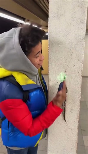 Crowdsourcing CleanApp