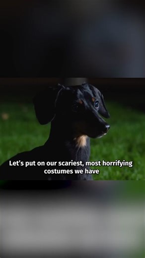 Spooky Dog Costumes for Dachshunds