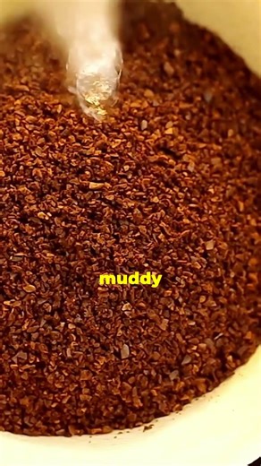 Stop Ruining Your Coffee with Boiling Water!