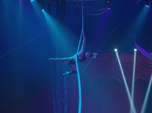 New Owners Of Oldsmar Flea Market To Celebrate With Circus