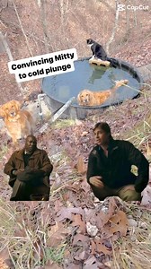 Junie and Kai will get Mittens in the there soon, I’m just sure if it😂 #coldplunge #coldplungetherapy #wimhof #trails #hiking #Cats #Dogs #HikingWithCats #ASMR #Animals #GoldenRetrievers #HikingWithDogs #deer #Nature #thedodo #funny #asmrsounds #asmrfood | Brown Hiking Trails