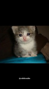 Beach House - Space Song | Slowed | Lyrics #spacesong