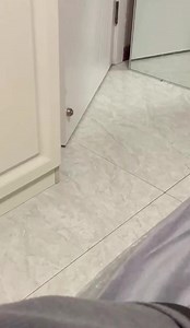 Can you understand dogs 👀 #dogs #Smart #viral | Dog Wang Shiyi