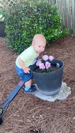 stop and smell the roses, even when on poop patrol