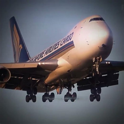 I’m back!! 😂😝 #aviation #airplane #edit