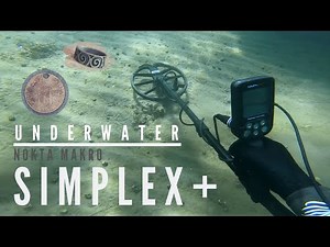 Nokta Makro Simplex+ SILVER RING 825 Metal detecting underwater