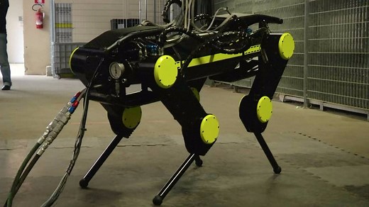 This animal-like robot gets up on its own when you knock it over. | Insider Tech