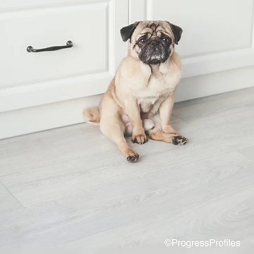 107K views | PROLEVELING SYSTEM simplifies the installer's work and guarantees a precise, high-quality result for a perfect floor layout that everyone in the house will appreciate! | Progress Profiles spa | Facebook