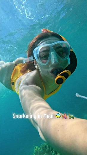 swimming next to a sea turtle was a dream come true #maui #snorkeling #trending #viral