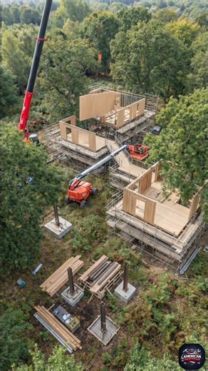 From Forest Floor to Luxury Tree House #TreeHouse #treehousebuild #viral #shorts