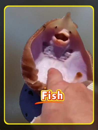 Tasty Fish? Science Explores Popular Fish