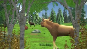 小狼旺吉英文版_12