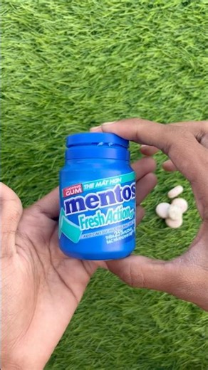 The orange kitten wants to play in the mud #comedy #cat #cute #catlovers #cutecat #pets #funny