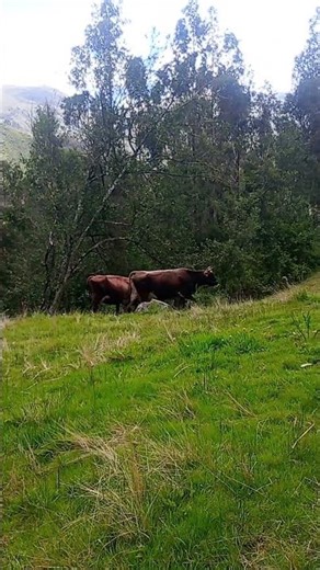 #travel #vistashermosas #cielo #nature #turismo