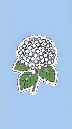 Easy Hydrangea Drawing for Beginners with Chillify