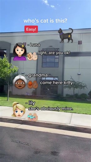 i luv catss! {#cat #cats #story #mystery #guessing #blackcats #kitty #kitties #blackkitty #missing #clues #luna #lilly #grandma #leveleasy #easy #level #next #video #is #the #answer #fypシ #fyppppppppppppppppppppppp #dontletthisflop #viral #tiktok #viralvideo}