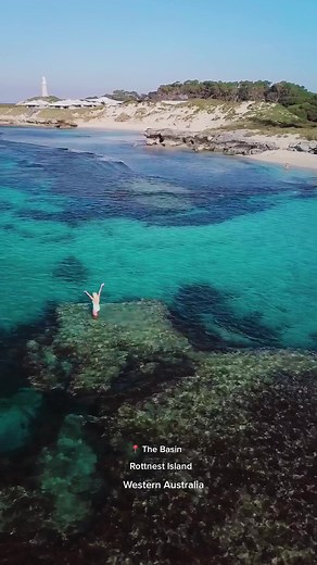 One of my favorite spots on @Rottnest Island in @Western Australia is The Basin 🌊 Amazing spot for snorkeling and swimming and easy to access from the main jetty. #RottnestIslandWA is just a 30 minute @SeaLinkRottnest ferry ride from Fremantle ✨ Once you are on the island you can circumnavigate by bike, e-bike, boat or bus. There are loads of tours from sky diving, kayaking, hiking to cruises and scenic flights. There is lots of unique wildlife including the resident friendly quokkas, dolphins,