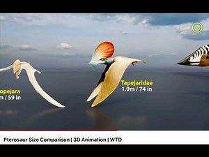 Pterosaurs size comparison 3d