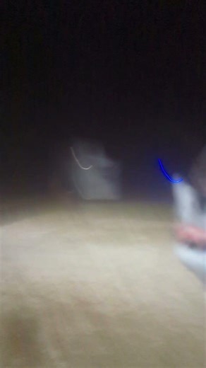 Shark Puppet Running