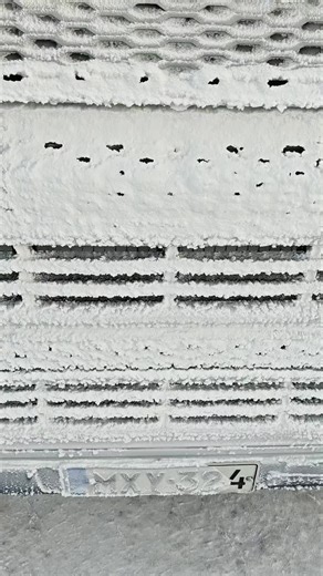 Exploring Norrbotten with Volvo FH Sexton Trucks