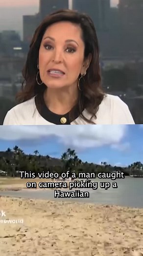 38K views · 732 reactions | Hawaii state officials say this is illegal, as these turtles are protected under both state law and the federal Endangered Species Act. #nbcla | NBC LA | Facebook