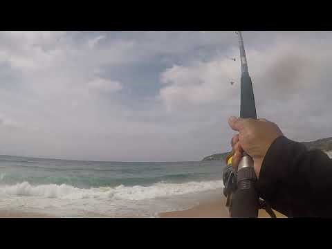 Beach Fishing at Palm Beach NSW | Multiple Australian Salmon Hook-ups
