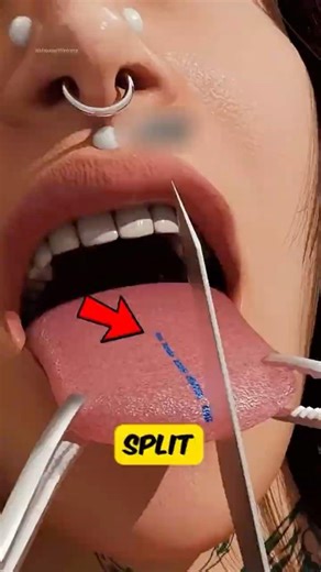 If you ever wondered why people split their tongue 👅😮