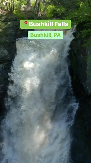 Eight beautiful waterfalls and four hiking trails make Bushkill Falls a natural wonder in the Poconos! We took a stroll to bring you a look at the outstanding views. 🌳 #DiscoverNEPA | DiscoverNEPA