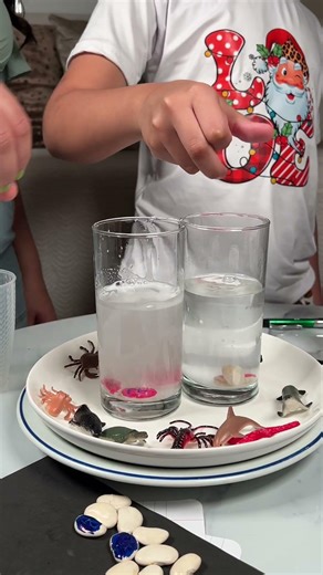 Dancing Numbers STEAM Experiment | Fun with Arm & Hammer™ Baking Soda