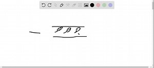 Identify the symmetry type of each illustrated border pattern; that is, identify the model pattern it matches. | Numerade
