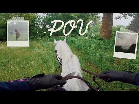 Early Morning Gallop POV ~ horse riding asmr ⋆⁺₊♡
