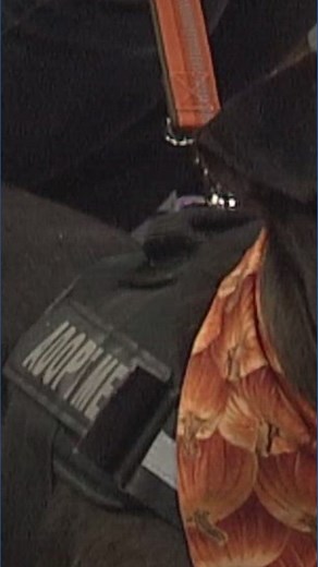 Lucas County dog license registration now available for 2026