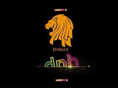 1993 - 1997 Old Skool Jungle / Drum & Bass Mix Mickey B Pt 2
