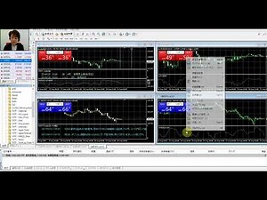 【初めてのMT4】①チャート画面の取り扱い ボリ平氏