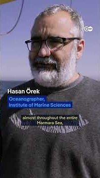 Can the Sea of Marmara be saved? 🐟 | DW Documentary