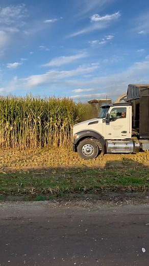 15 reactions | Test plot field in Hilmar, CA being opened up so our...