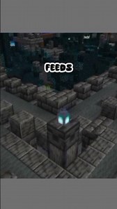 warden origin........ #minecraft #funfacts