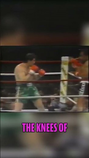 Ken Norton vs. Jerry Cooney: A Fight for the Ages