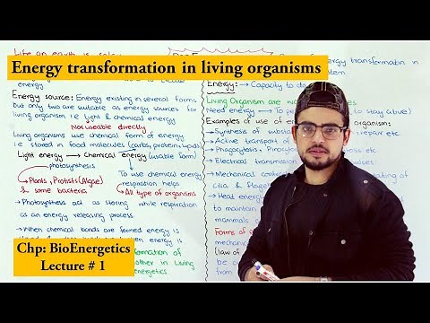 Bioenergetics | A Brief Introduction |
