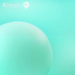 Secure Your Future Today! 🌟Discover how to choose the perfect insurance plan tailored to your needs with EFU Life Insurance and Zindigi. Insurance subscriptions are now just a few taps away! #Zindigi #EFU #SimpleKaro #Fintech | Zindigi