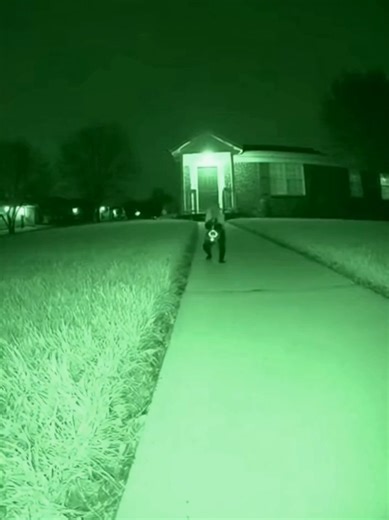 trumpet monkey :) #fyp #viral #aigenerated #monkey #funny