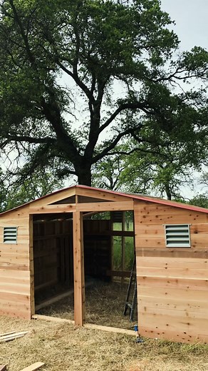 How to build goat 🐐 shelter on a budget part 2 #homesteading #diy #goatfarming #farming