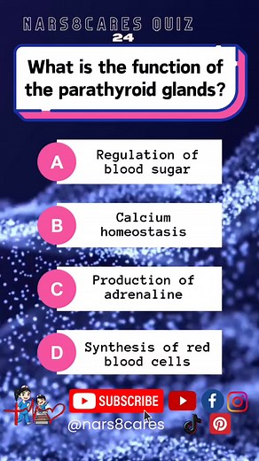 What is the function of the parathyroid glands? #nursing #medicine #knowledge #nurselife #doctors #student #fbreels #fypシ゚ | Nursing Reference Cards