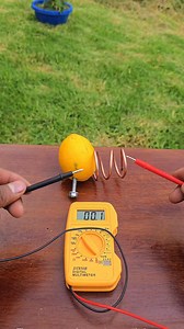 Did you know you can make a real battery using lemons? 🍋⚡ In this simple science experiment, we connect lemons, copper, and zinc screws in series to generate over 4 volts — enough to power a small LED light! A fun and educational way to understand how chemical energy turns into electricity. #scienceexperiment #lemonbattery #diyproject #renewableenergy #physics Srk Garden | Srk Garden