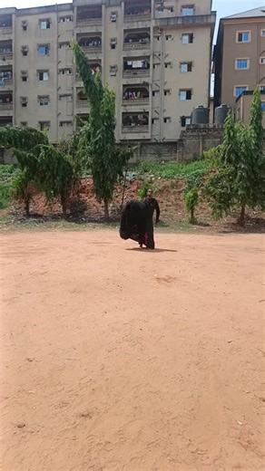 Debunking Gorilla Costume Myths: Part 2