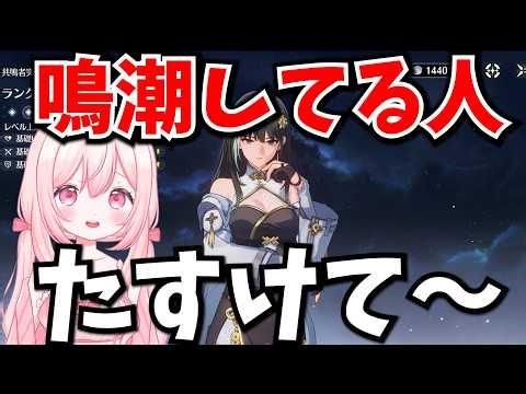 【鳴潮】ランク上げすぎてキャラの育成できなくなっちゃいました…