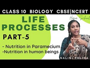Life Processes class 10 | Nutrition | Biology |Part-5