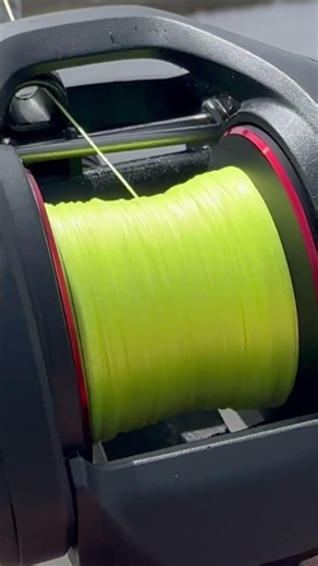 Hi Vis Yellow Braid 💛 How Would You Score This Cast? 🎯 #reactiontackle #fishing